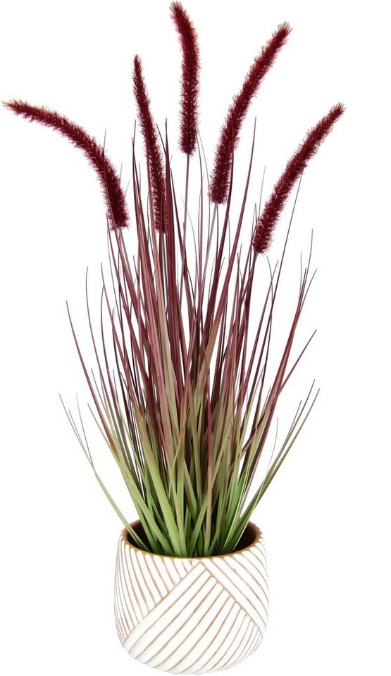 Kunstpflanze Fuchsschwanzgras, I.GE.A., Höhe 67 cm, Mit Übertopf Kunstgras Deko Borstenhirse Panicoideae Setaria Kunstpflanze Fuchsschwanzgras, I.GE.A., Höhe 67 cm, Mit Übertopf Kunstgras Deko Borstenhirse Panicoideae Setaria von I.GE.A.