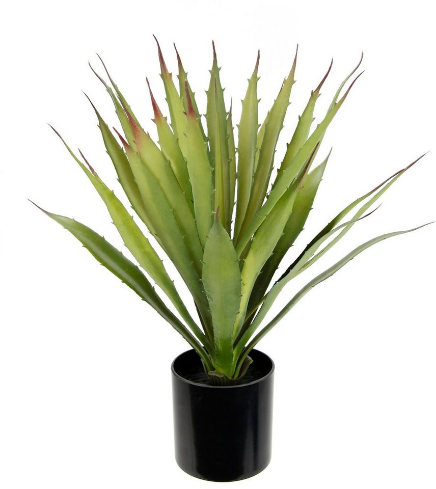 Kunstpflanze Künstliche Agave Aloe Vera im Topf Kunstpflanze, I.GE.A., Höhe 38 cm, Kaktus Kakteen von I.GE.A.