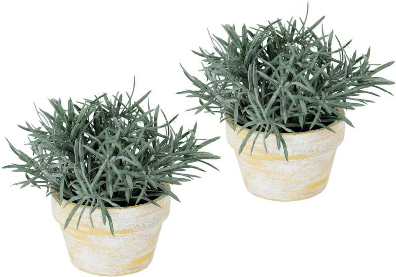 Kunstpflanze Künstlicher Podocarpus im Topf 2er Set, I.GE.A., Höhe 15 cm, Deko Blume für Hochzeit Plastikpflanze Kräuter Deko-Kräuter von I.GE.A.