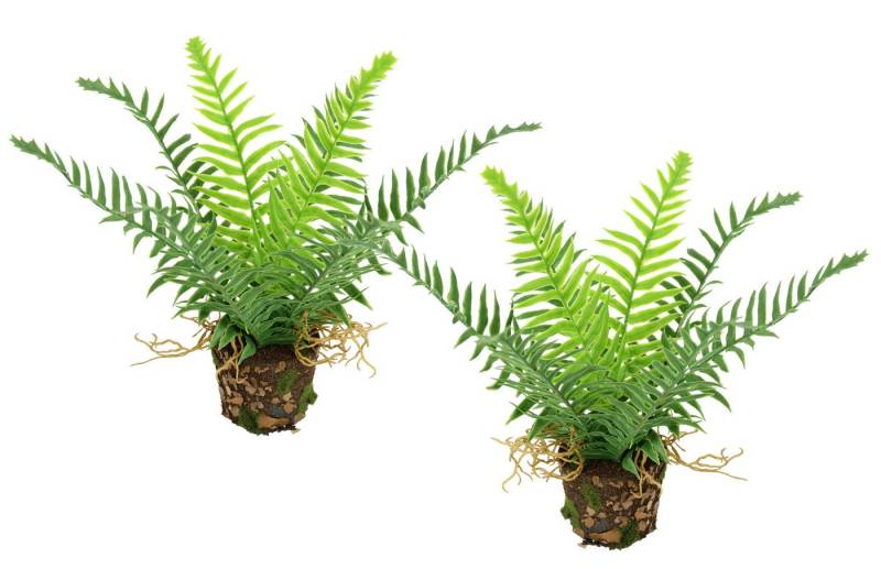 Kunstpflanze Künstlicher Waldfarn im Topf, I.GE.A., Höhe 25 cm, 2er Set Farn Büsche Pflanze Deko Grünpflanze Waldpflanze Zimmerpflanze von I.GE.A.