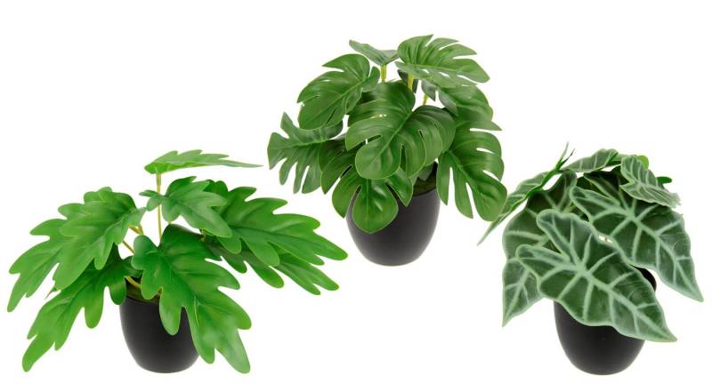 Kunstpflanze Künstliches Zimmerpflanzen-Set, I.GE.A., Höhe 17 cm, Im Topf 3er Set Grünpflanzen Zimmerpflanze Monstera Philo Calathea von I.GE.A.