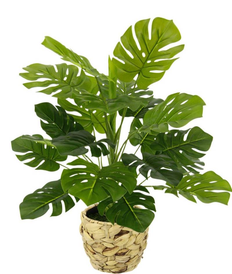 Kunstpflanze Monstera, I.GE.A., Höhe 46 cm, Mit Übertopf künstlicheSplitphilo-Pflanze von I.GE.A.
