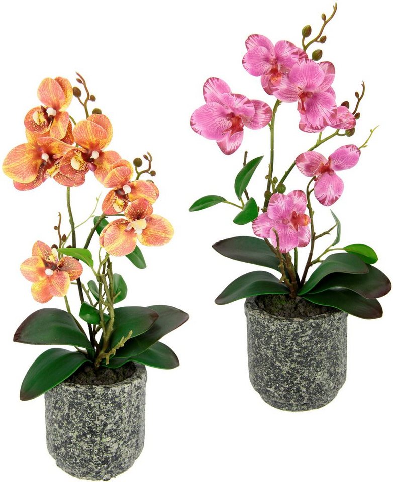 Kunstpflanze Orchidee, I.GE.A., Höhe 38 cm, Mit Blättern und Luftwurzeln, im Topf aus Keramik, 2er Set von I.GE.A.