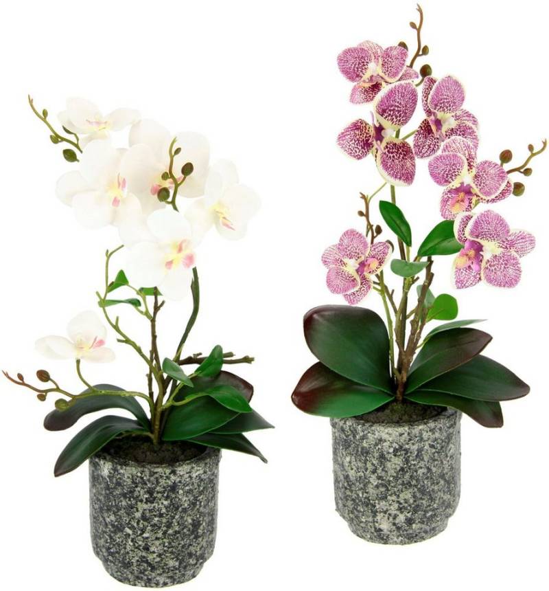Kunstpflanze Orchidee, I.GE.A., Höhe 38 cm, Mit Blättern und Luftwurzeln, im Topf aus Keramik, 2er Set von I.GE.A.