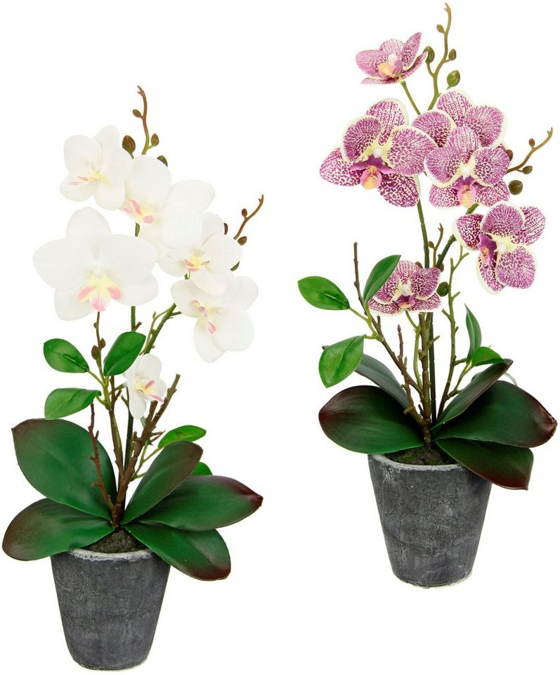 Kunstpflanze Orchidee, I.GE.A., Höhe 40 cm, Mit Blättern und Luftwurzeln, im Topf aus Keramik, 2er Set von I.GE.A.