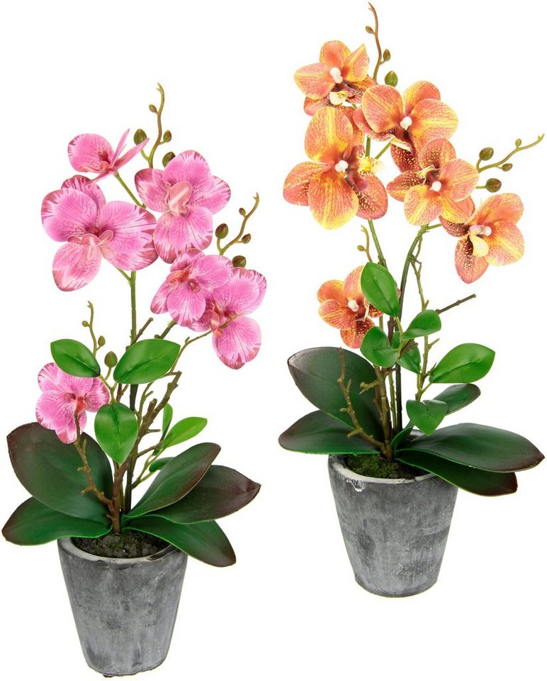 Kunstpflanze Orchidee, I.GE.A., Höhe 40 cm, Mit Blättern und Luftwurzeln, im Topf aus Keramik, 2er Set Kunstpflanze Orchidee, I.GE.A., Höhe 40 cm, Mit Blättern und Luftwurzeln, im Topf aus Keramik, 2er Set von I.GE.A.