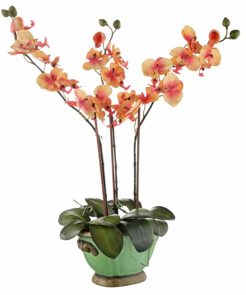 Kunstpflanze Orchidee Phalaenopsis, I.GE.A., Höhe 60 cm von I.GE.A.