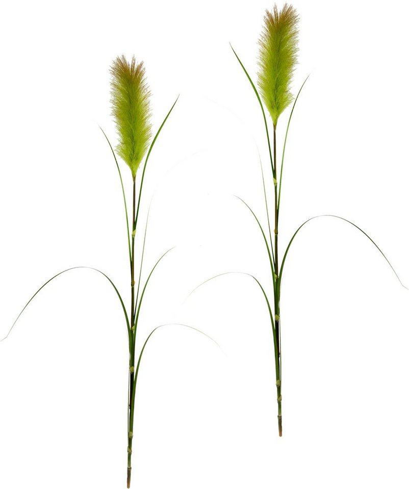 Kunstpflanze Pampas, I.GE.A., Höhe 125 cm, Pampasgras, Boho, 2er Set von I.GE.A.