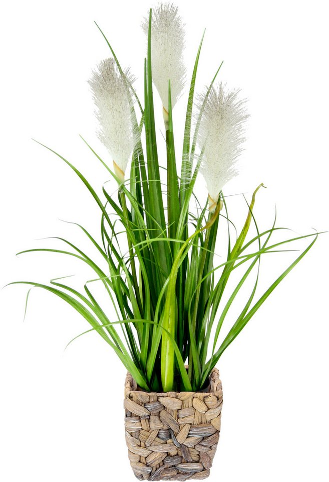 Kunstpflanze Pampasgras, I.GE.A., Höhe 55 cm, Mit Übertopf, künstliches Pampas Gras von I.GE.A.