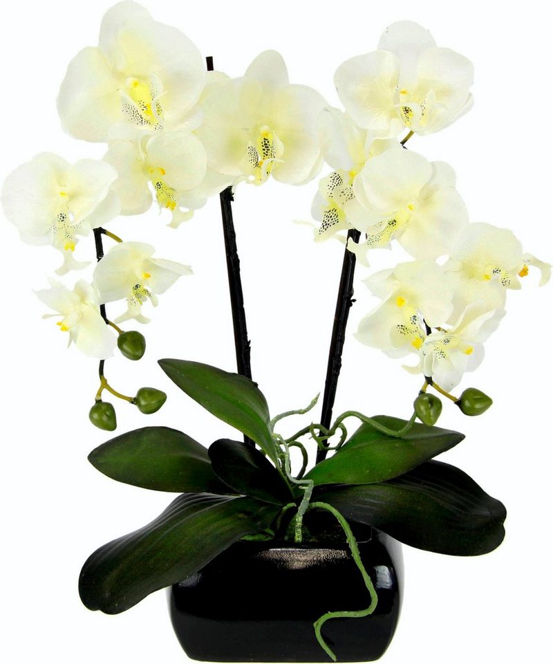 Kunstpflanze Phalaenopsis, I.GE.A., Höhe 58 cm von I.GE.A.