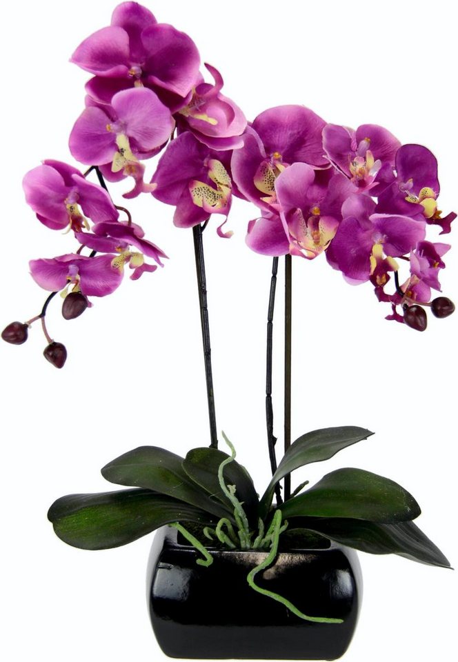 Kunstpflanze Phalaenopsis, I.GE.A., Höhe 58 cm von I.GE.A.