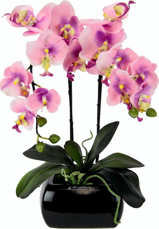 Kunstpflanze Phalaenopsis, I.GE.A., Höhe 58 cm von I.GE.A.