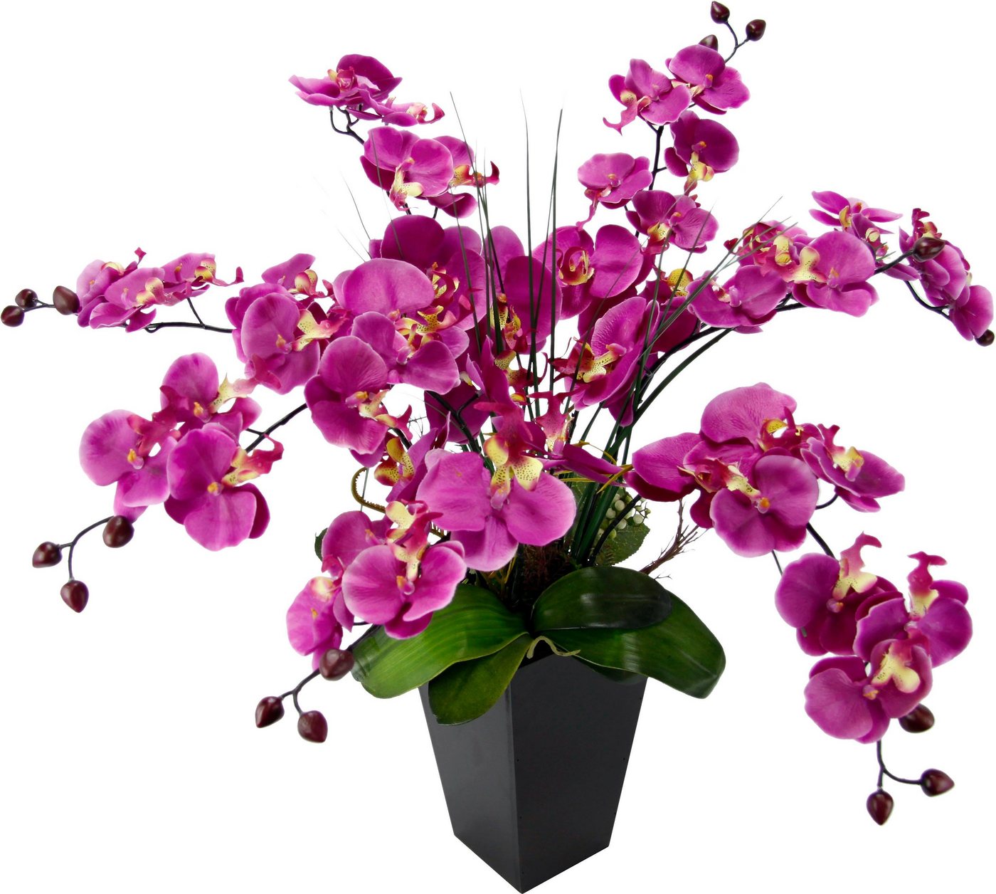 Kunstpflanze Phalaenopsis im Topf, I.GE.A., Höhe 66 cm von I.GE.A.