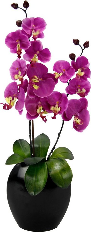 Kunstpflanze Phalaenopsis in Vase, I.GE.A., Höhe 63 cm von I.GE.A.