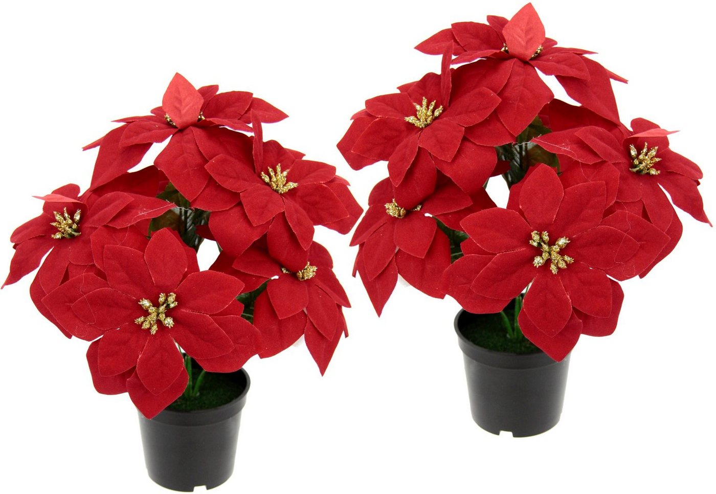 Kunstpflanze Poinsettie Poinsettie, I.GE.A., Höhe 29 cm, im Topf, 2er Set von I.GE.A.