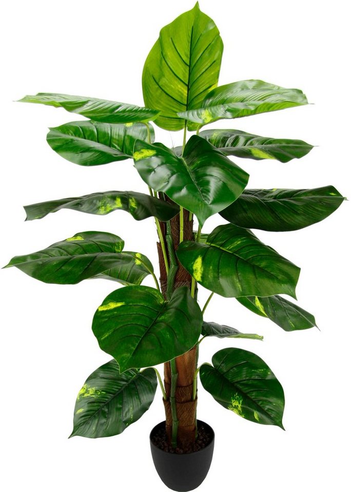 Kunstpflanze Pothospflanze, I.GE.A., Höhe 85 cm von I.GE.A.