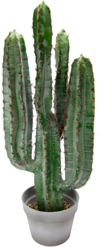Kunstpflanze Säulenkaktus, I.GE.A., Höhe 70 cm, 70 cm von I.GE.A.