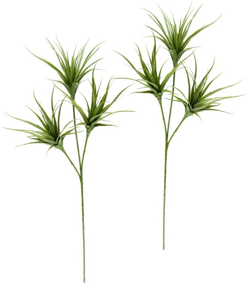 Kunstpflanze Tillandsia, I.GE.A., Höhe 63 cm, 2er Set von I.GE.A.