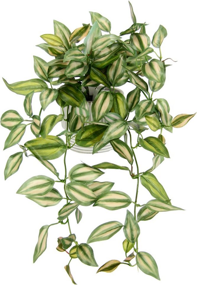Kunstpflanze Tradescantiahänger, I.GE.A., Höhe 42 cm, Mit Übertopf Kunstpflanze Hängepflanze Pflanzenampel Kletterpflanze von I.GE.A.