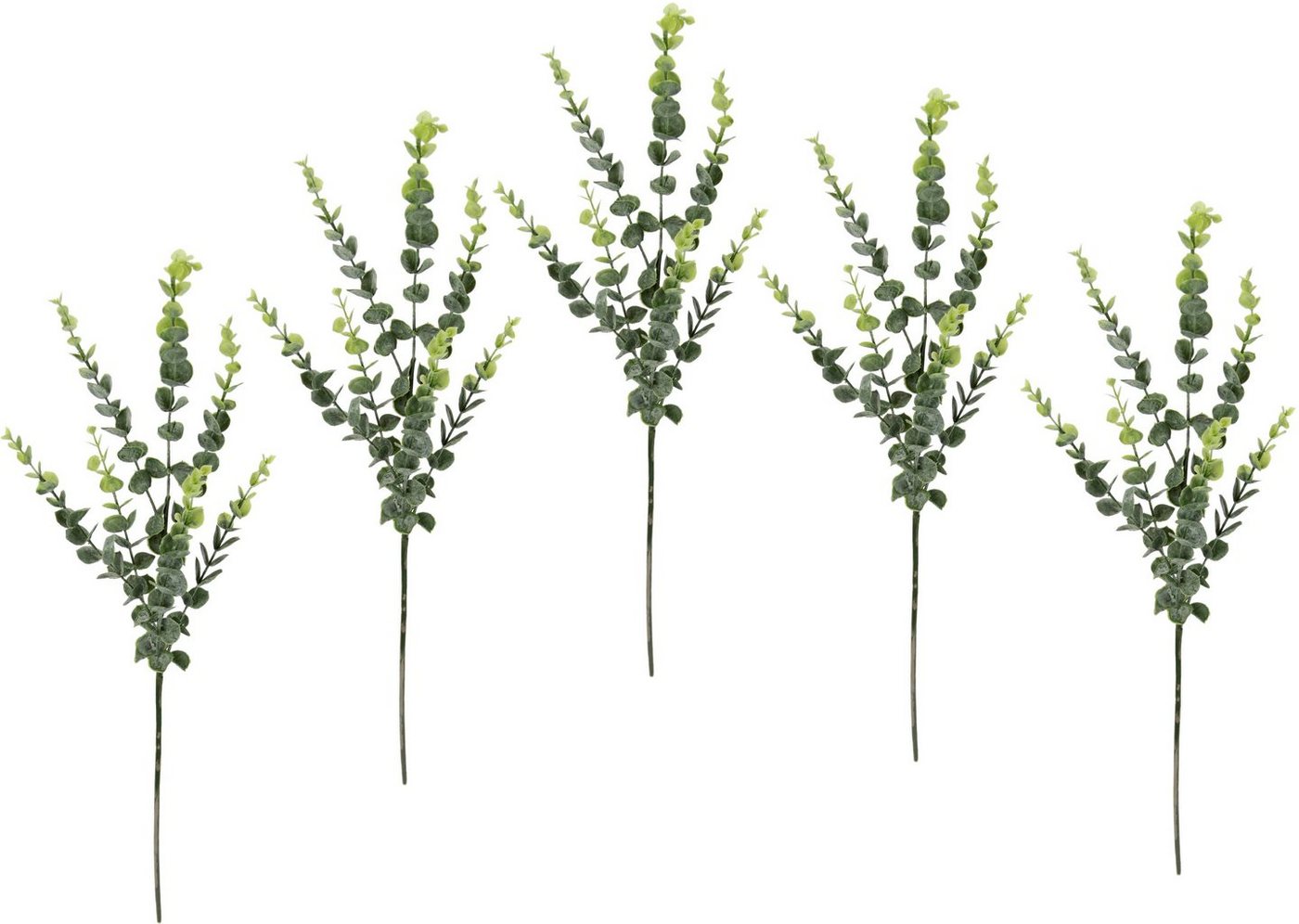 Kunstzweig Eukalyptus, I.GE.A., Höhe 70 cm, 5er Set, künstlicher Blattzweig von I.GE.A.