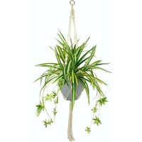 I.GE.A. Künstliche Zimmerpflanze "Wasserlilie" von I.Ge.A.