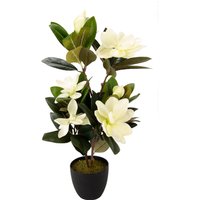 I.GE.A. Kunstbaum "Magnolienbusch", im Kunststofftopf I.GE.A. Kunstbaum "Magnolienbusch", im Kunststofftopf von I.Ge.A.