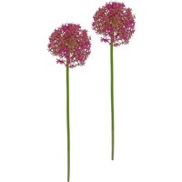 I.GE.A. Kunstblume "Allium Zierlauch", Stielblume künstliche Blumen, 2er Set I.GE.A. Kunstblume "Allium Zierlauch", Stielblume künstliche Blumen, 2er Set von I.Ge.A.