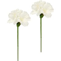 I.GE.A. Kunstblume "Amaryllis 2er Set", 60cm Blumen Zweig Dekozweig Weihnachtsdeko Weihnachtsblume Deko I.GE.A. Kunstblume "Amaryllis 2er Set", 60cm Blumen Zweig Dekozweig Weihnachtsdeko Weihnachtsblume Deko von I.Ge.A.
