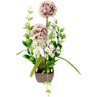 I.GE.A. Kunstblume "Arrangement Allium" von I.Ge.A.