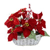 I.GE.A. Kunstblume "Arrangement" Poinsettia Beeren im Korb I.GE.A. Kunstblume "Arrangement" Poinsettia Beeren im Korb von I.Ge.A.
