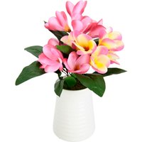 I.GE.A. Kunstblume "Frangipani in Vase aus Keramik" von I.Ge.A.