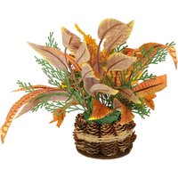 I.GE.A. Kunstblume "Herbstgesteck Chrysanthemen" Im Zapfentopf mit Physalis, Eule, Herbstlaub I.GE.A. Kunstblume "Herbstgesteck Chrysanthemen" Im Zapfentopf mit Physalis, Eule, Herbstlaub von I.Ge.A.