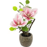 I.GE.A. Kunstblume "Magnolie im Topf", Künstlich wie echt Deko Blume Zimmerpflanze Baum klein Magnolienblüten I.GE.A. Kunstblume "Magnolie im Topf", Künstlich wie echt Deko Blume Zimmerpflanze Baum klein Magnolienblüten von I.Ge.A.