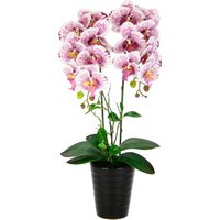 I.GE.A. Kunstblume "Orchidee", Im Topf Phalaenopsis Orchidee Phalaenopsis mit Übertopf Hochzeit von I.Ge.A.