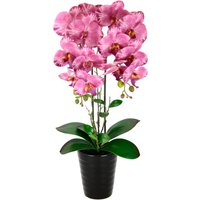 I.GE.A. Kunstblume "Orchidee", Im Topf Phalaenopsis Orchidee Phalaenopsis mit Übertopf Hochzeit von I.Ge.A.