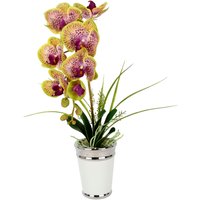I.GE.A. Kunstblume "Orchidee", im Topf, aus Keramik, Seidenblume Real Touch von I.Ge.A.