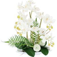 I.GE.A. Kunstblume "Orchideen" I.GE.A. Kunstblume "Orchideen" von I.Ge.A.