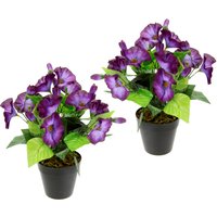 I.GE.A. Kunstblume "Petunien", Im Topf, 2er Set Petunien Zierpflanze Glockenblume klein Blumen Deko I.GE.A. Kunstblume "Petunien", Im Topf, 2er Set Petunien Zierpflanze Glockenblume klein Blumen Deko von I.Ge.A.