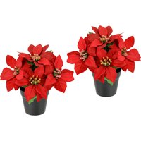 I.GE.A. Kunstblume "Poinsettia im Topf" 2er Set Künstliche Blume Weihnachtsstern Christstern Weihnachtsdeko I.GE.A. Kunstblume "Poinsettia im Topf" 2er Set Künstliche Blume Weihnachtsstern Christstern Weihnachtsdeko von I.Ge.A.