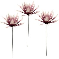 I.GE.A. Kunstblume "Soft-Protea", 3er Set I.GE.A. Kunstblume "Soft-Protea", 3er Set von I.Ge.A.