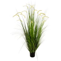 I.GE.A. Kunstgras "Fuchsschwanzgras", im Kunststofftopf I.GE.A. Kunstgras "Fuchsschwanzgras", im Kunststofftopf von I.Ge.A.