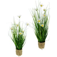 I.GE.A. Kunstgras "Gasbusch", mit Margeritenblüten und Band, in Jutetopf, 2er Set von I.Ge.A.