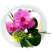 I.GE.A. Kunstorchidee "Orchidee", im Keramiktopf, mit LED-Beleuchtung I.GE.A. Kunstorchidee "Orchidee", im Keramiktopf, mit LED-Beleuchtung von I.Ge.A.