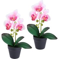 I.GE.A. Kunstorchidee "Orchidee im Topf 2er Set", Künstliche Phalaenopsis 30cm Real Touch Blume Kunstblume Seidenblume von I.Ge.A.