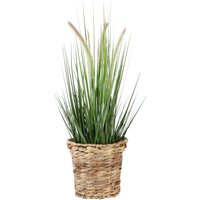 I.GE.A. Kunstpflanze "Gras" I.GE.A. Kunstpflanze "Gras" von I.Ge.A.
