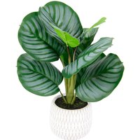 I.GE.A. Kunstpflanze "Maranthus" Künstliche Korbmaranthe Galathea Medaillon Kunstpflanze Efeutute von I.Ge.A.