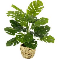 I.GE.A. Kunstpflanze "Monstera" Mit Übertopf künstlicheSplitphilo-Pflanze I.GE.A. Kunstpflanze "Monstera" Mit Übertopf künstlicheSplitphilo-Pflanze von I.Ge.A.