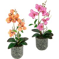 I.GE.A. Kunstpflanze "Orchidee", Mit Blättern und Luftwurzeln, im Topf aus Keramik, 2er Set von I.Ge.A.