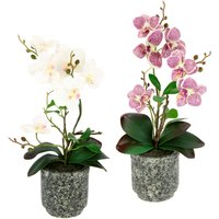 I.GE.A. Kunstpflanze "Orchidee", Mit Blättern und Luftwurzeln, im Topf aus Keramik, 2er Set I.GE.A. Kunstpflanze "Orchidee", Mit Blättern und Luftwurzeln, im Topf aus Keramik, 2er Set von I.Ge.A.