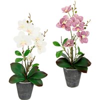 I.GE.A. Kunstpflanze "Orchidee", Mit Blättern und Luftwurzeln, im Topf aus Keramik, 2er Set von I.Ge.A.